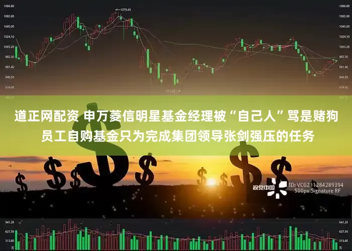道正网配资 申万菱信明星基金经理被“自己人”骂是赌狗 员工自购基金只为完成集团领导张剑强压的任务