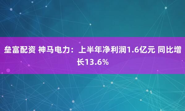 垒富配资 神马电力：上半年净利润1.6亿元 同比增长13.6%